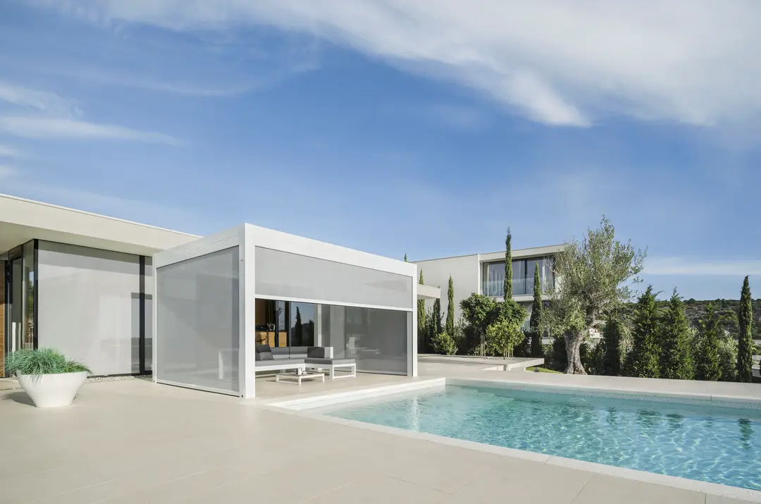 gibus_varia_67597722