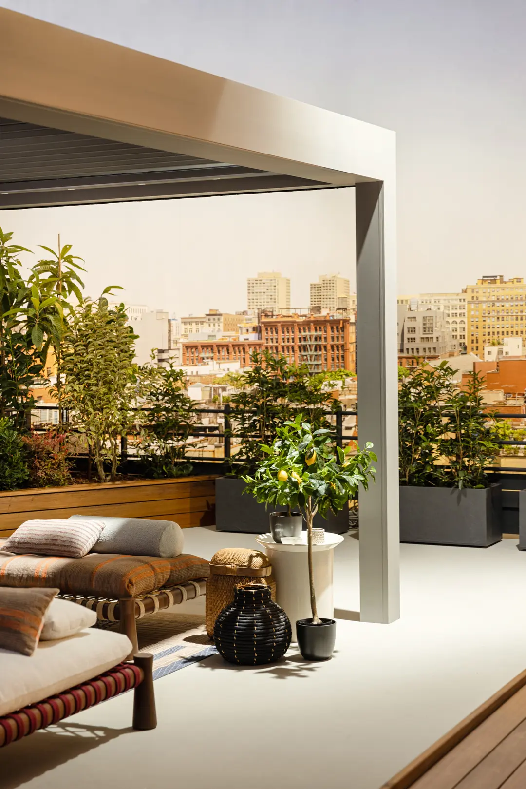 gibus_velvet_25c7cf00